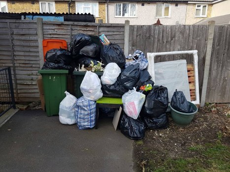Professional garden clearance in Bethnal Green